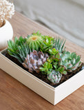 Christmas Lush Garden - Image 