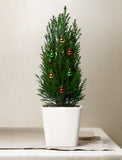 Holiday Mini Christmas Tree & Ornaments - Image 