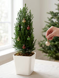 Holiday Mini Christmas Tree & Ornaments - Image 