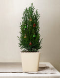 Christmas Mini Christmas Tree With Ornaments - Image 
