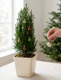 Christmas Mini Christmas Tree With Ornaments - Image 