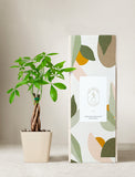 Plant in planter next to a gift box. - Image 