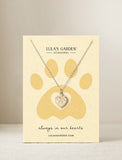 Succulents in gift box. - Image 