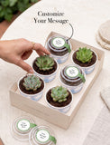 Succulents in mini cups with an occasion. - Image 