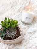 A lit candle in a clear glass jar labeled 'CASHMERE VANILLA' by Lula's Garden, placed on a white faux fur surface next to a small potted succulent. - Image 