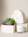 A heart-shaped cream gift box with a white ribbon and tag sits behind a glass jar candle labeled Cashmere Vanilla, next to a small planter with green succulents, on a warm beige background. - Image 