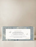 Succulents in gift box. - Image 