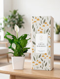 Peace Lily plant in a white square ceramic pot next to a decorative gift box with a botanical pattern on a wooden table. - Image 