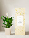 Plant in planter next to a gift box. - Image 
