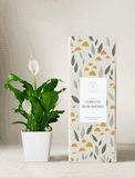 Peace Lily plant in a white ceramic pot next to a decorative gift box labeled Forever Remembered. - Image 