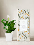 Plant in planter next to a gift box. - Image 
