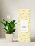 Plant in planter next to a gift box. - Image 