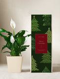 Christmas Peace Lily Plant - Image 