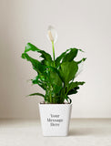 Lush green Peace Lily plant with white blooms in a square white pot personalized with custom text. - Image 