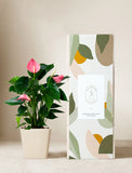 Plant in ceramic planter. - Image 