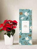 Holiday Poinsettia Plant - Image 