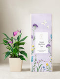 Plant in ceramic planter next to gift box. - Image 