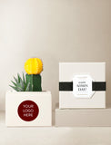 Succulents in gift box. - Image 