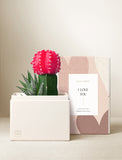 Succulents in gift box. - Image 