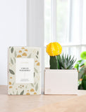 Yellow moon cactus and striped haworthia succulent in a white gift box with a Forever Remembered patterned sleeve. - Image 