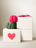 Vibrant pink cactus and zebra succulent in a white gift box featuring a red heart and best friend text. - Image 