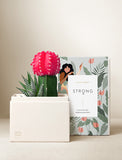 Succulents in gift box. - Image 