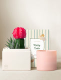 Pink candle, cactus plant, and Easter sleeve on a neutral background - Image 