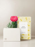 Succulents in gift box. - Image 