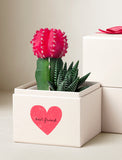 Bright pink moon cactus and green succulent in a cream gift box featuring a red heart and best friend text. - Image 