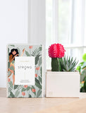 Succulents in gift box. - Image 
