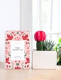 Succulents in gift box. - Image 