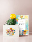 Succulents in gift box. - Image 