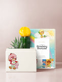 Succulents in gift box. - Image 