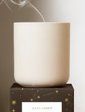Succulents in gift box. - Image 