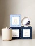 Succulents in gift box. - Image 