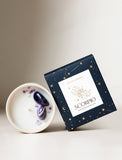 Succulents in gift box. - Image 