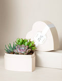 Heart-shaped cream gift box filled with a variety of vibrant green and pink succulents, accented with a white sympathy ribbon. - Image 