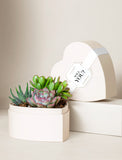 Heart-shaped cream gift box filled with a variety of vibrant green and pink succulents on a neutral background. - Image 