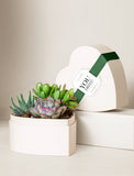 Heart-shaped gift box filled with vibrant green and pink succulents, accented with a green ribbon and a You Did It tag. - Image 