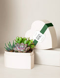 Heart-shaped gift box filled with assorted green succulents and a Thank You tag tied with a green ribbon. - Image 