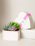 Assorted succulents in a cream-colored heart-shaped gift box with a pink ribbon and "love you" tag. - Image 