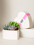 Assorted succulents in a cream-colored heart-shaped gift box with a pink ribbon and branded label. - Image 