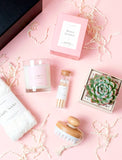 Succulents in gift box. - Image 