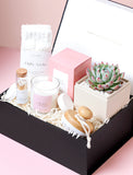 Succulents in gift box. - Image 
