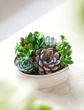Assorted green and purple succulents arranged in a white heart-shaped planter with the inscription forever loved. - Image 
