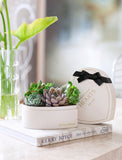 Heart-shaped succulent garden in a cream planter with a black ribbon and Forever in Our Hearts inscription on a table. - Image 