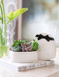 Heart-shaped white planter filled with assorted succulents, featuring a black ribbon and the text Forever in Our Hearts. - Image 