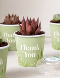 Succulents in mini cups with an occasion. - Image 