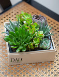 Assorted succulents in a beige box labeled DAD Happy Father's Day, sitting on a woven cane chair. - Image 