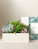 Holiday Urban Garden - Image 